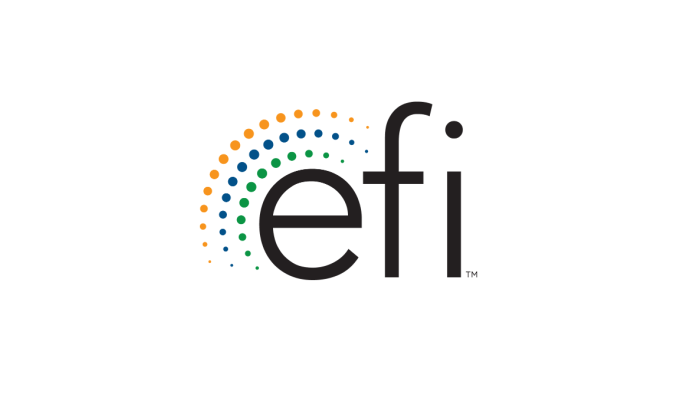 Energy Federation, Inc. (EFI)